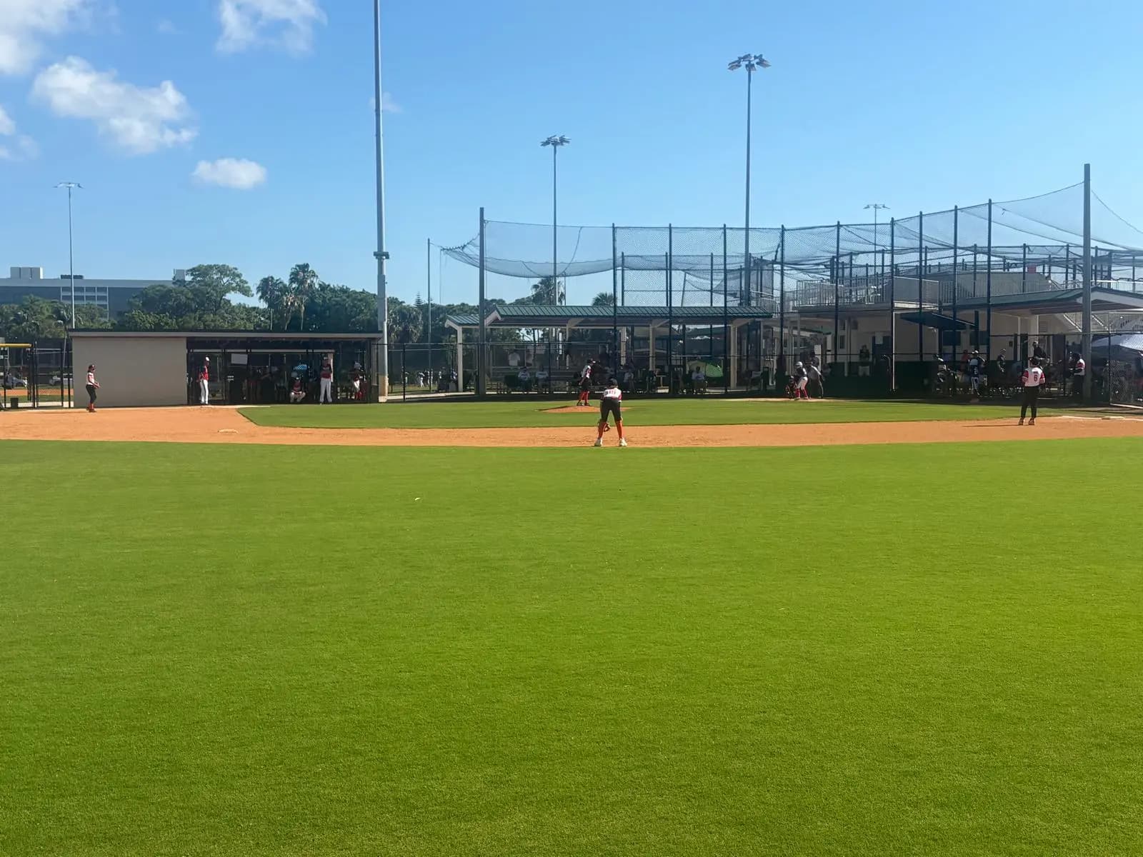 Immaculate Baseball outfield grass